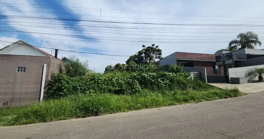 Terreno à venda na Rua José Simioni, 435, Jardim Nesita, Campina Grande do Sul
