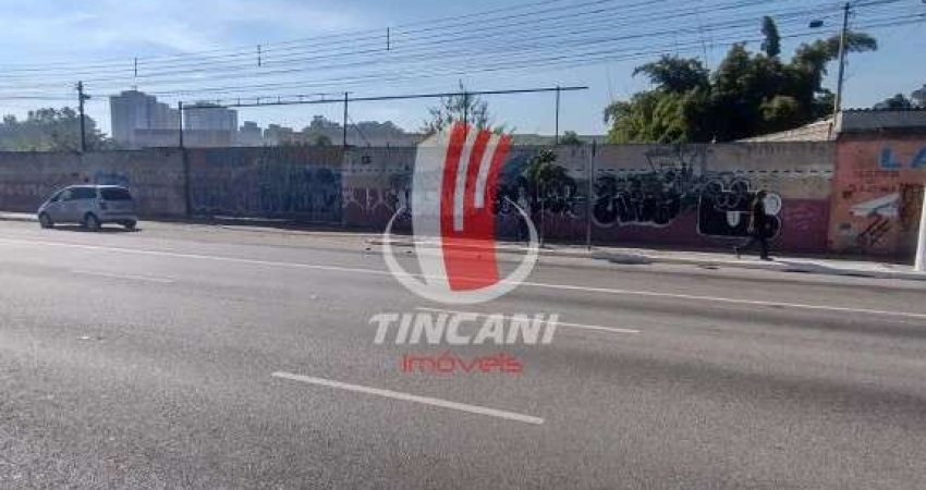 Oportunidade Única: Amplo Terreno Plano de 6.038 m² à Venda!