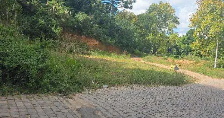 Oportunidade Única em SOLEDADE - RS | Tipo: Terreno | Negociação: Leilão  | Situação: Imóvel
