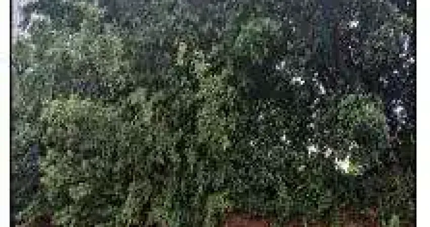 Oportunidade Única em LAJEADO - RS | Tipo: Terreno | Negociação: Leilão  | Situação: Imóvel