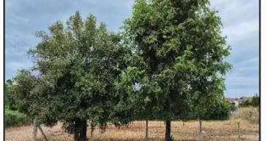 Oportunidade Única em ARROIO DO MEIO - RS | Tipo: Terreno | Negociação: Leilão  | Situação: Imóvel