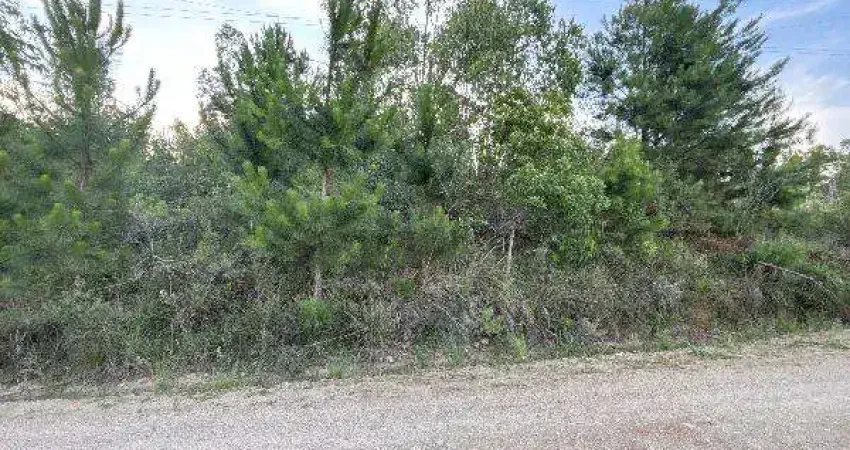 Oportunidade Única em ELDORADO DO SUL - RS | Tipo: Terreno | Negociação: Leilão | Situação: Imóvel