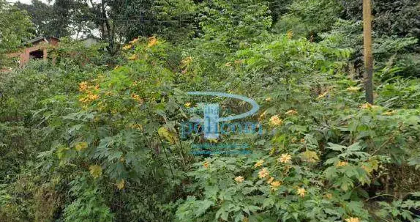 Terreno à venda, 250 m² por R$ 500.000,00 - Jardim Celeste - São Paulo/SP