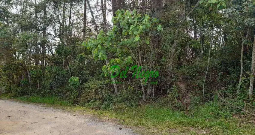 Terreno residencial à venda, 1550 m² - Invernada, Embu das Artes.