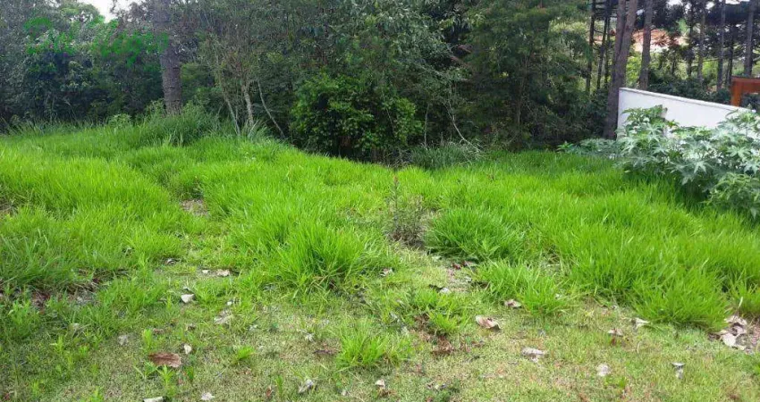 Terreno residencial à venda, 511 m² - vintage, granja viana.