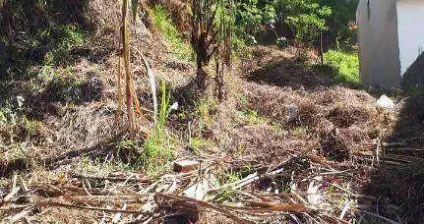 Terreno residencial à venda, 620 m² - jardim da glória, granja viana.