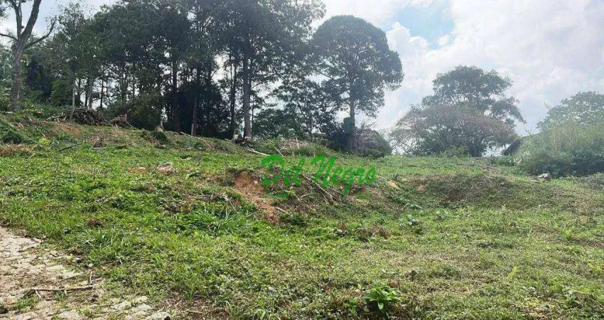 Terreno residencial à venda, 704 m² - vila de são fernando, granja viana.