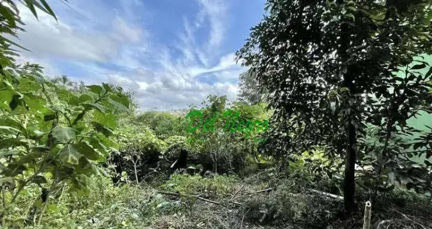 Terreno à venda na Rua São Vicente, Miolo da Granja, Cotia