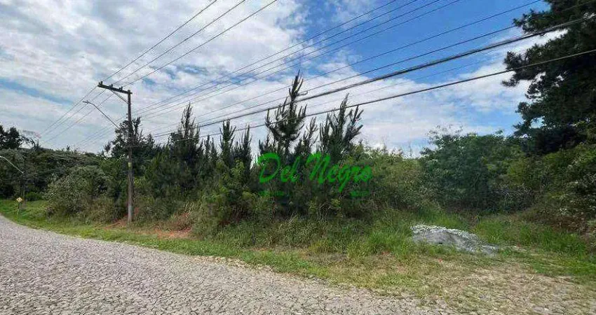 Área à venda dentro do paisagem renoir ii / iii, 4973 m² - granja viana.