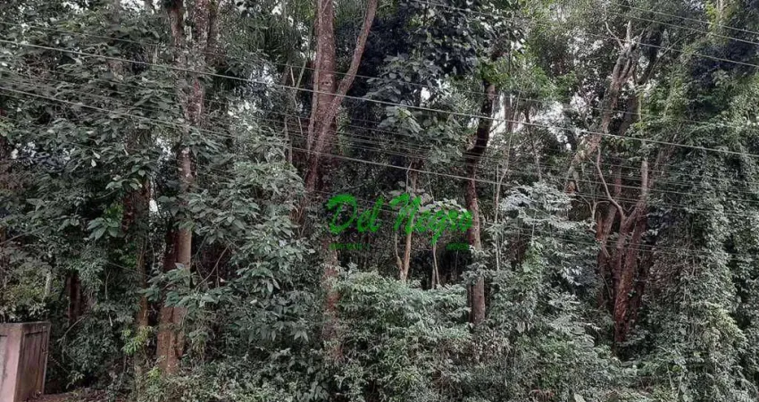 Terreno em condomínio fechado à venda na Alameda Imbaúba, Vila Verde, Itapevi