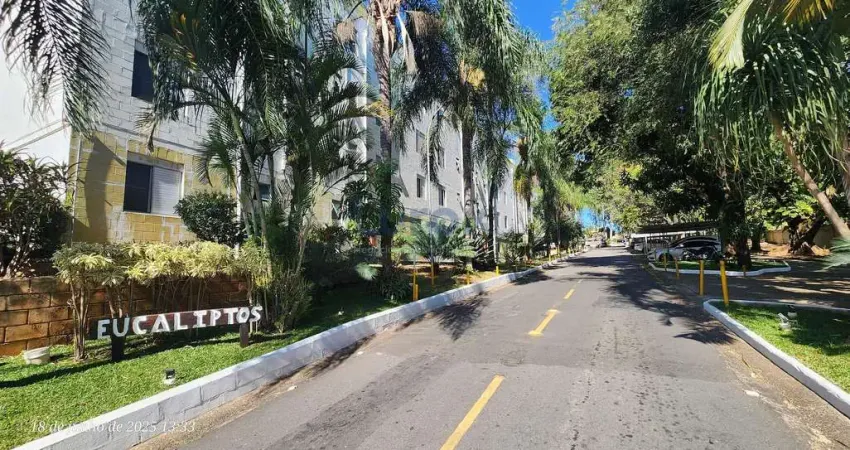 Apartamento Pq. dos Eucaliptos para venda ou locação, Vila Padre Manoel de Nóbrega, Campinas, SP