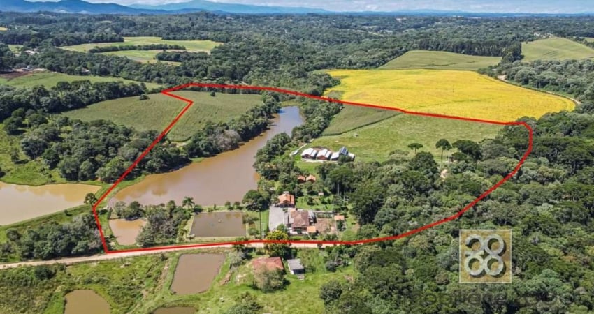 Chácara/fazenda - R Joana Jarecki Machado, 500 - Campestre - São José dos Pinhais PR