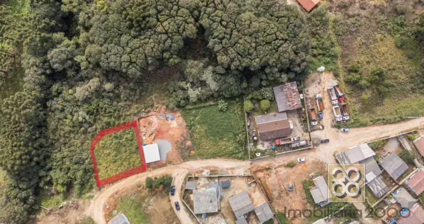 Terreno - R Licio de Barros Teixeira, 252 - Tranqueira - Almirante Tamandaré PR