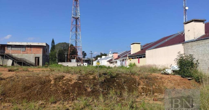 Terreno à venda, 490 m² por R$ 240.500,00 - João Alves - Santa Cruz do Sul/RS