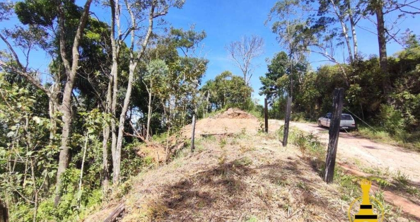 Terreno à venda, 1446 m² por R$ 110.000 - Mirante da Mantiqueira - Mairiporã/SP