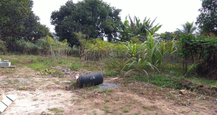Terreno à venda na Avenida João Bassi, Jardim Castanheira, São José dos Campos