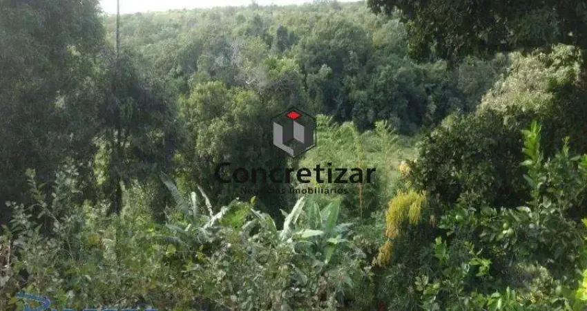 Chácara / sítio com 8 quartos à venda no Tartaruga, Guarapari 