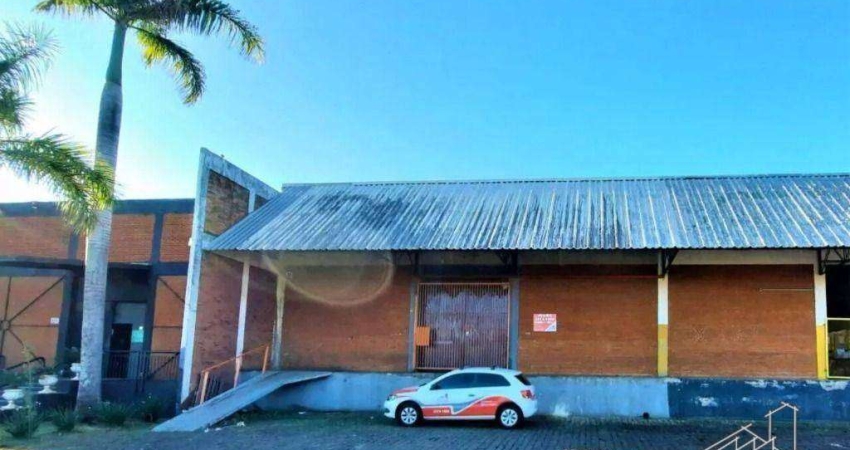 Barracão / Galpão / Depósito com 3 salas à venda na Rua Bem-te-vi, Waldemar Hauer, Londrina