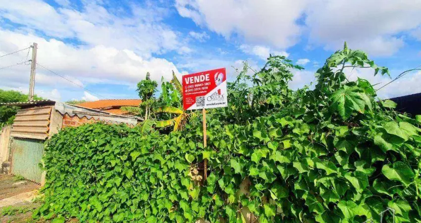 Terreno comercial à venda na Rua José Garrido, Jardim Marissol, Londrina