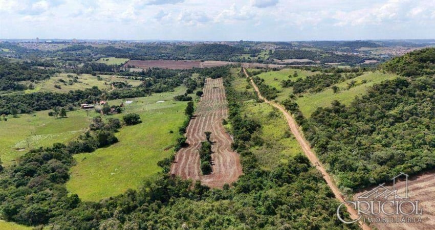 Sítio à venda, 500698 m² por R$ 9.780.000,00 - Pinheiro - Ibiporã/PR