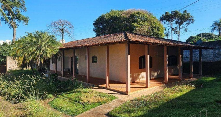 Chácara / sítio para alugar na Rua Manoel Alves dos Santos, Aurora, Londrina