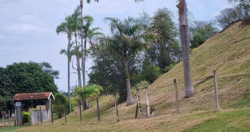 Chácara com 2 dormitórios à venda, 7300 m² por R$ 840.000,00 - Fazenda Nata - Londrina/PR