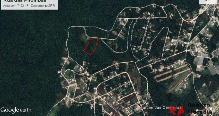 Terreno com 7430 m² para loteamento ou chácara! 3 matrículas