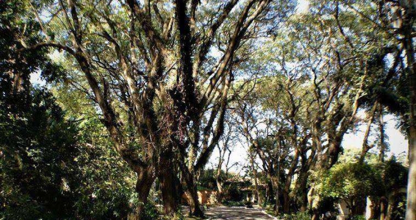 Terreno em condomínio fechado à venda na Rua das Amoreiras, 111, Bosque do Vianna, Cotia