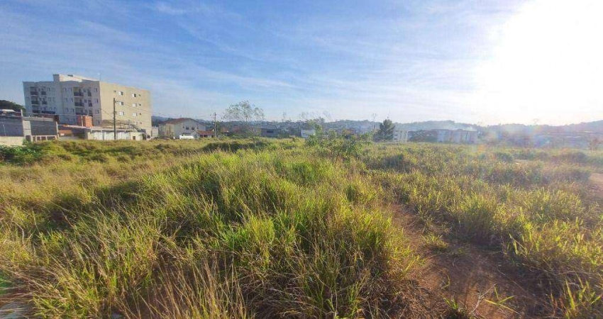 Oportunidade Única! Terreno de 7948 m² em Localização Privilegiada em Cotia
