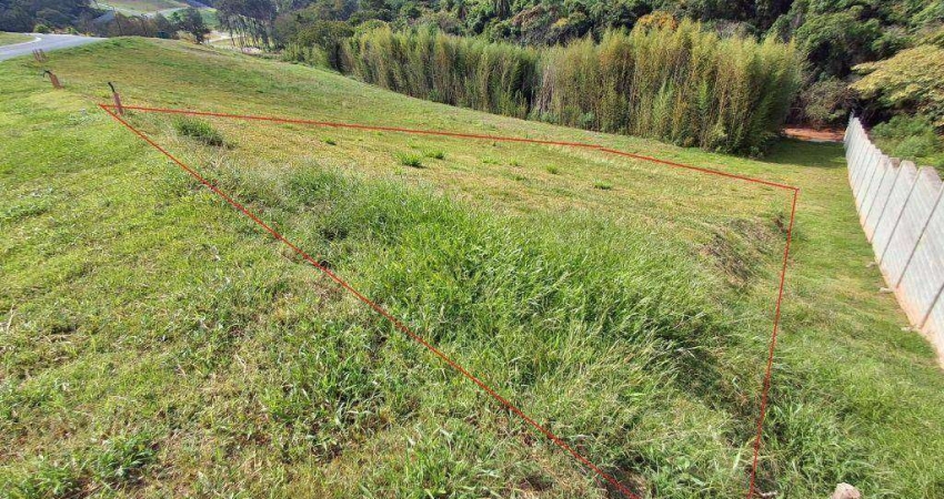 Terreno à venda, 502 m² por R$ 502.580,00 - Granja Viana - Cotia/SP