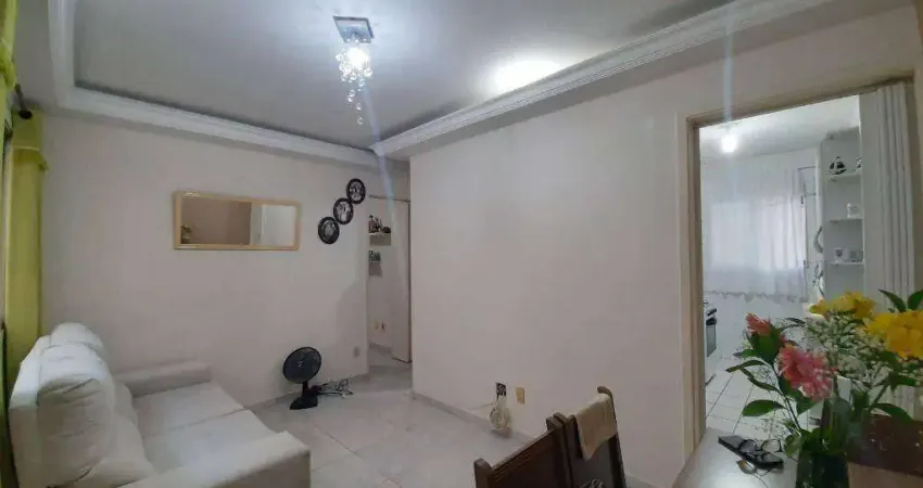 Apartamentos com dois dormitórios, jardim da glória, ctia, sp