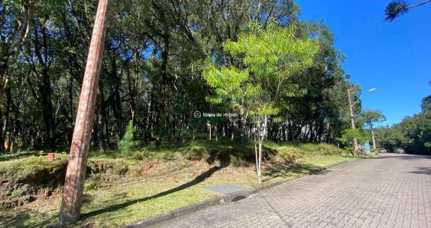 Terreno em condomínio fechado à venda na 01, 3, Parque Pinheiro Grosso, Canela