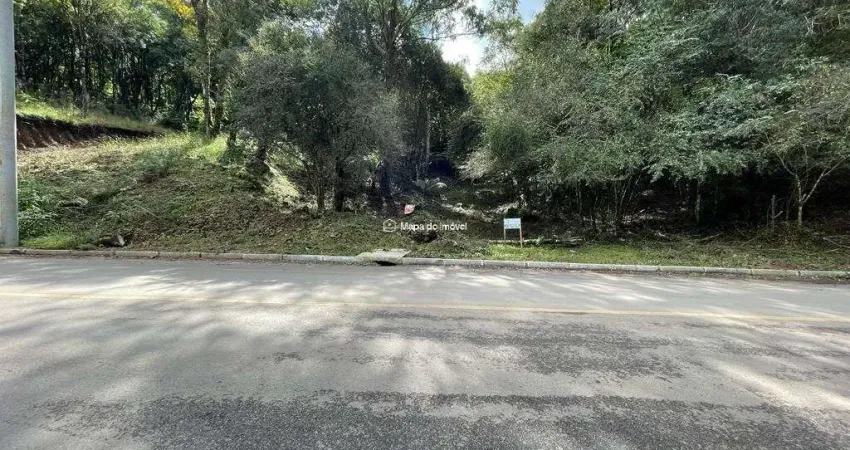 Terreno à venda na Gravataí, 100, Santa Terezinha, Canela