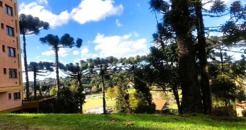 Terreno em condomínio fechado à venda na dos Tucanos, Centro, Canela