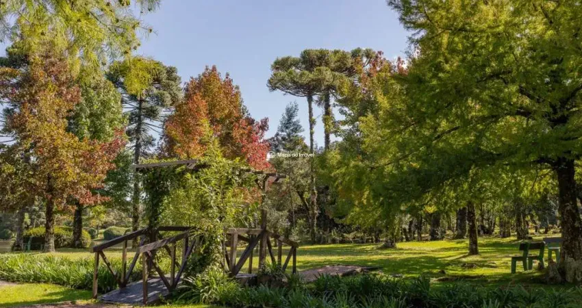 Apartamento com 3 quartos à venda na do Parque, 66, Parque Laje da Pedra, Canela