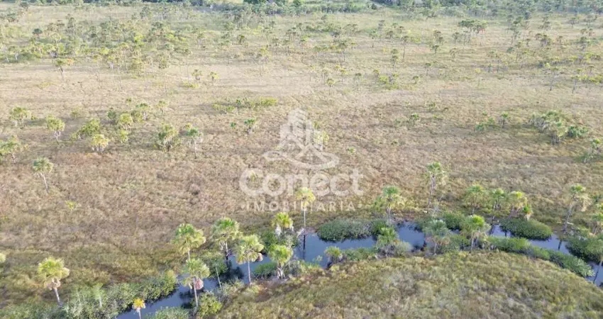 Fazenda à venda na Zona Rural, Luís Eduardo Magalhães 