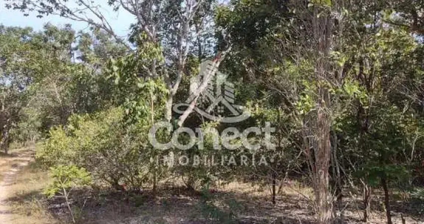 Fazenda à venda na Zona Rural, Correntina 