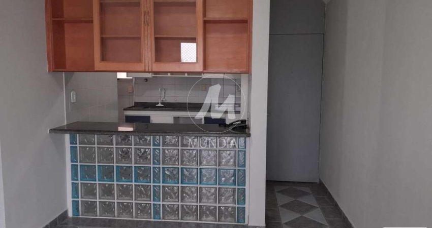 Apartamento (outros) 3 dormitórios/suite, cozinha planejada, portaria 24hs, lazer, salão de festa, elevador, em condomínio fechado