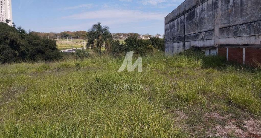 Terreno (terreno normal)