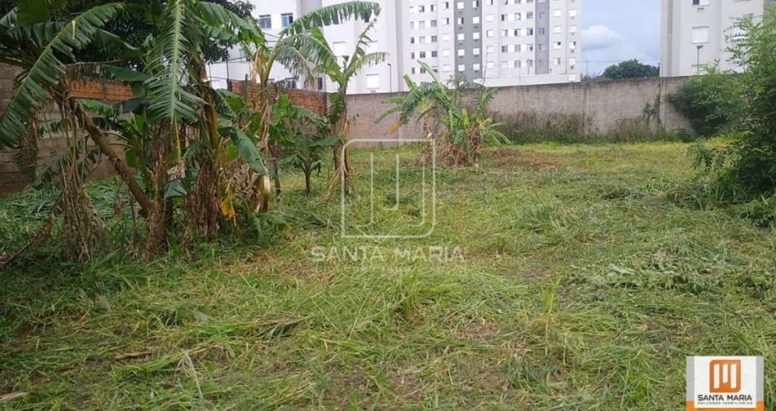 Terreno (terreno normal)