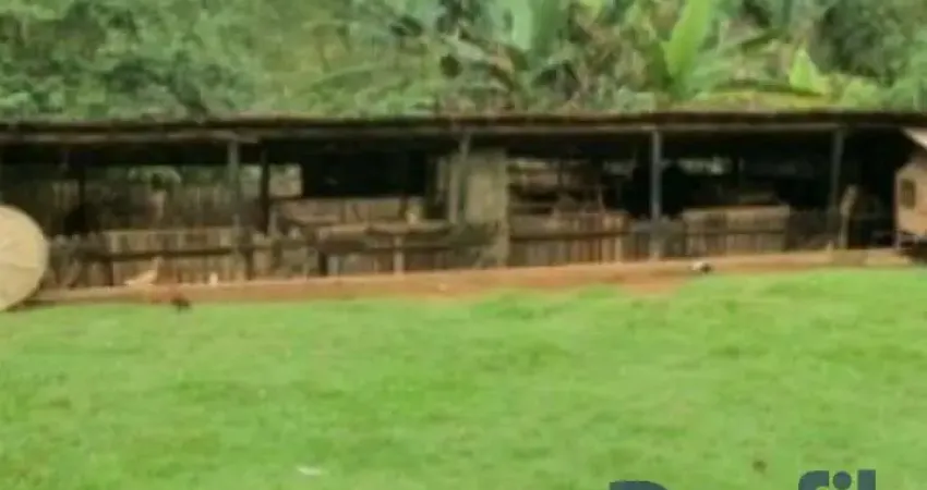 Chácara / sítio com 4 quartos à venda no Ipelândia, Suzano 