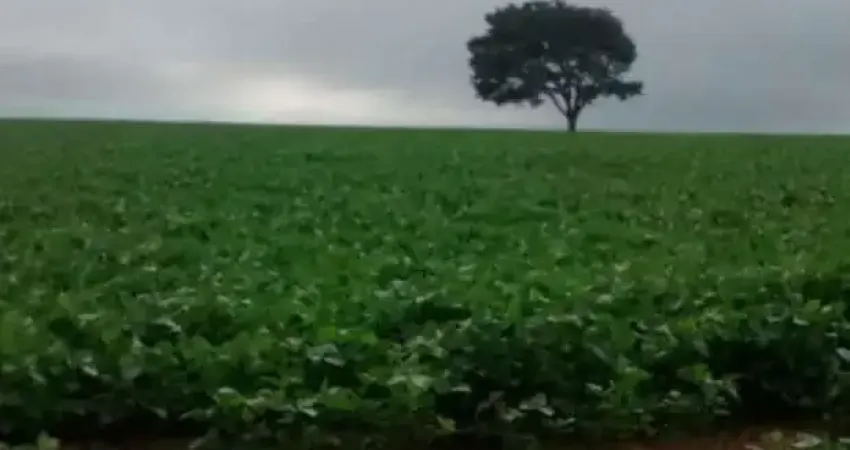 Chácara / sítio à venda na Vila Trujillo, Sorocaba 