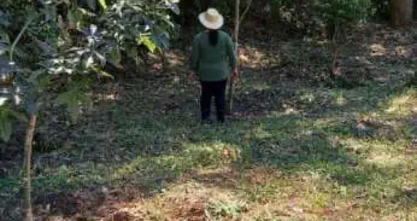 Chácara / sítio com 2 quartos à venda no Quatinga, Mogi das Cruzes