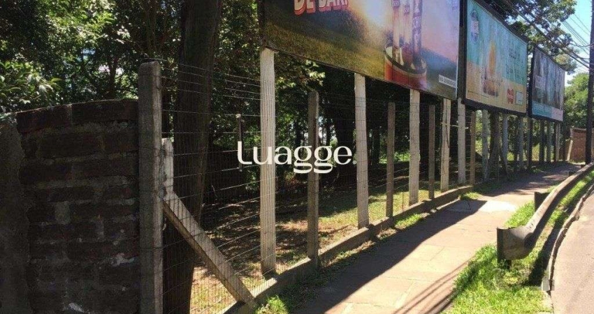 Terreno em Vila Conceição