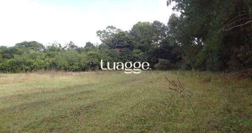 Terreno para Venda - 145.000m²,  Lami