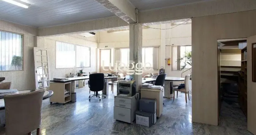 Depósito/Pavilhão para Locação/Aluguel - 550m², 0 dormitórios, Lageado