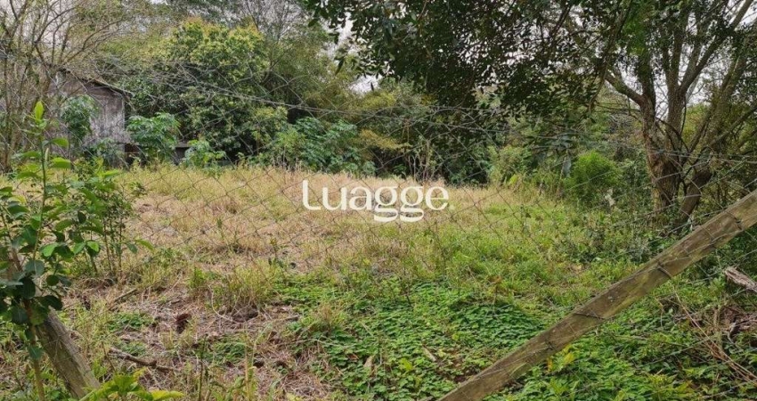 Terreno para Venda - 0m², 0 dormitórios, Tristeza