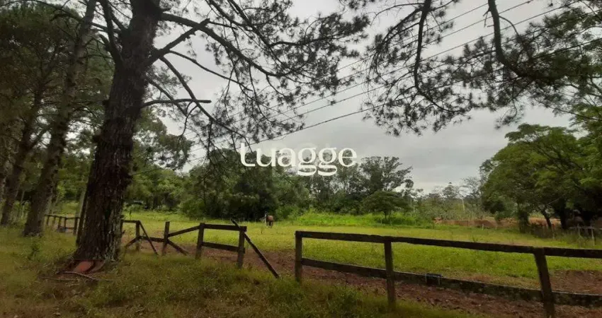 Sítio para Venda - 120217m², 0 dormitórios, Campo Novo