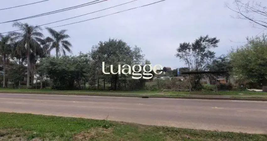 Terreno à venda na Estrada Jorge Pereira Nunes, 457, Campo Novo, Porto Alegre