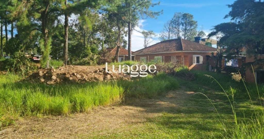 Terreno à venda na Rua Amapá, 1358, Vila Nova, Porto Alegre